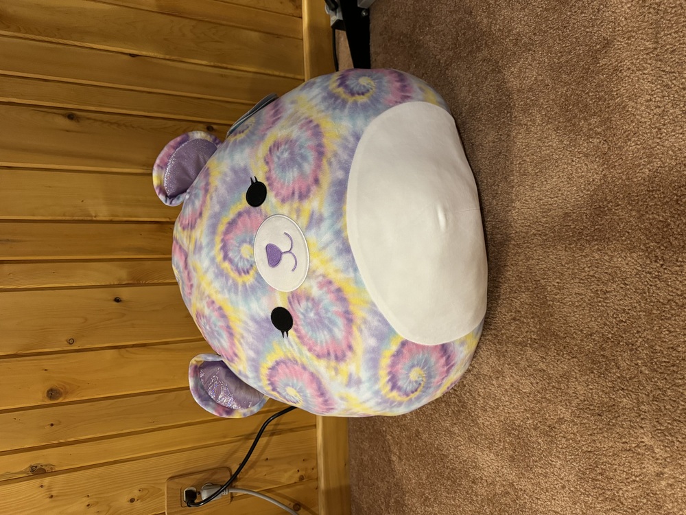 Retired Janessa 20” squishmallow new with tags